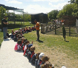 Angoli Didattici Infanzia Roma