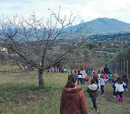 Vite In Corso Dedalo Min